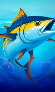 Big Boat Big Catch