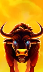 Big Wild Buffalo 2